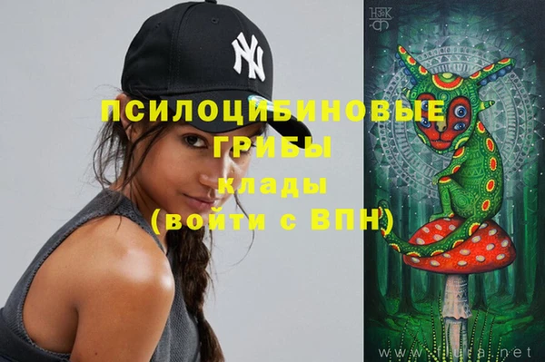 МДПВ Волоколамск