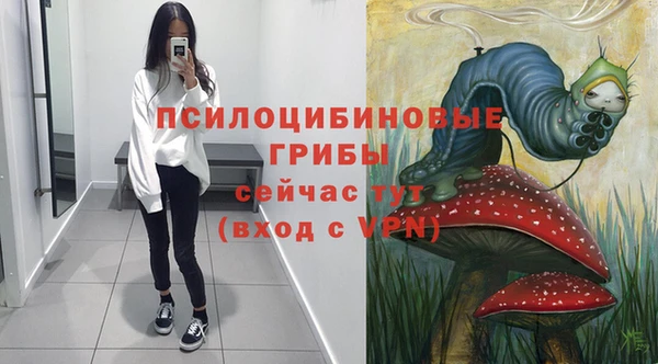 соль ск Володарск