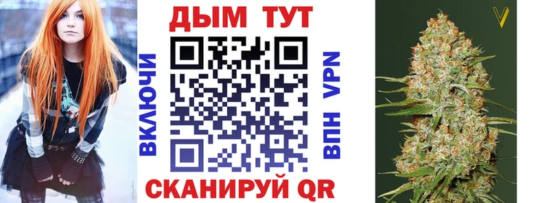 Бошки марихуана сатива  Майкоп 